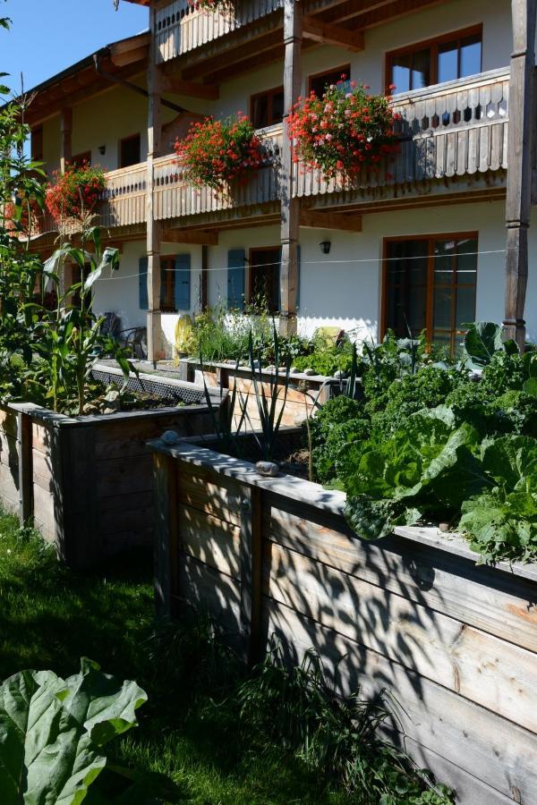 Gaestehaus Wild-Schuetz Schwangau Exterior foto