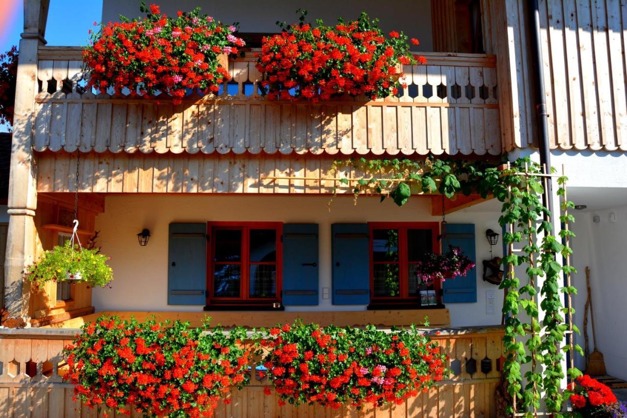 Gaestehaus Wild-Schuetz Schwangau Exterior foto